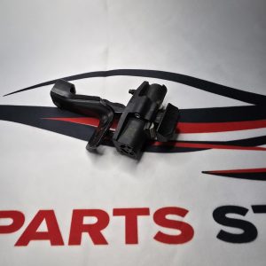 Tesla Model 3 2017-2023 Door Strap FR 110298-00-D